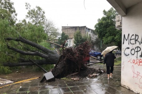 El día después: Las secuelas del temporal: aún quedan casi mil evacuados en el GBA y reparan los daños en Capital