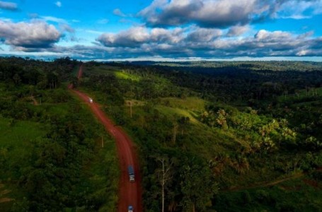 La destrucción de la Amazonia brasileña, sin freno