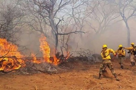 Varios incendios forestales devoran medio millón de hectáreas en Bolivia