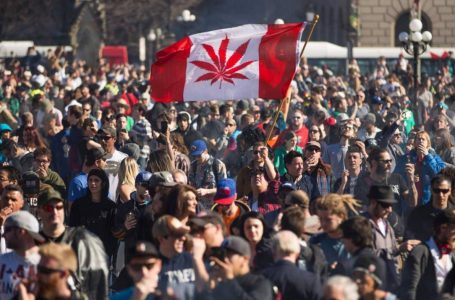Canadá y su primer año con marihuana legal