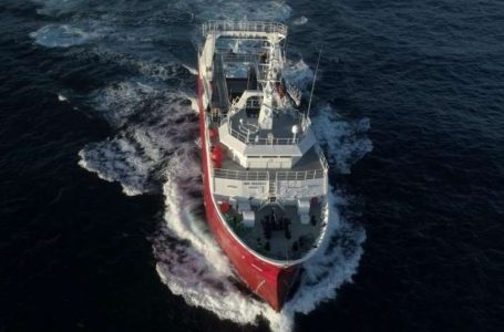 Pesca de langostino: peligran US$ 1.000 millones en exportaciones por una discusión salarial