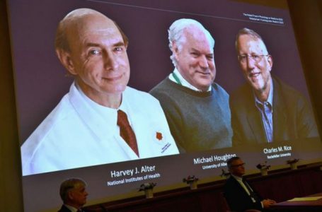 Harvey Alter, Charles Rice y Michael Houghton premios Nóvel de Medicina