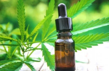 Cannabis medicinal: el Gobierno autorizó el cultivo y la venta de aceites