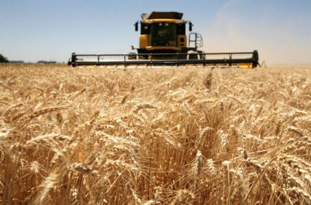 Agroexportadores liquidaron en enero un 32% más de divisas y alcanzaron US$ 2.140 millones