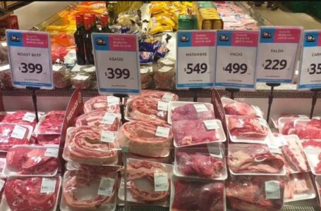 Desde el miércoles llegan 11 cortes de Carne a precios económicos