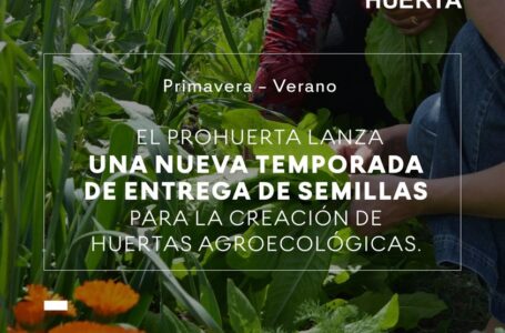 Funes: Huertas Agroecológicas Temporada Primavera – Verano 2021