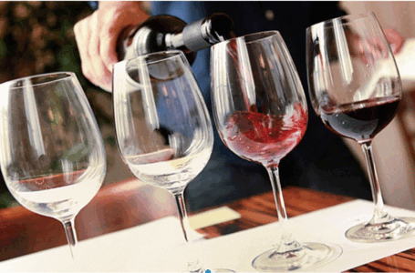 La sexta edición de la Cata de Vinos de Alta Gama en Funes con reservas agotadas
