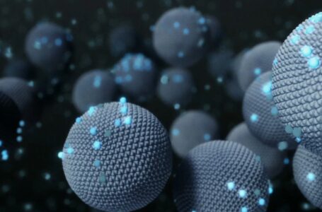 Ley de Bio y Nanoteconología