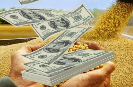 La recaudación creció 117%, impulsada por la liquidación de las exportaciones de soja