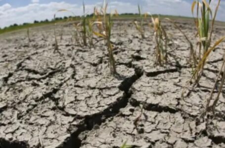 Casi 23 millones de hectáreas se encuentran en condiciones de sequía severa