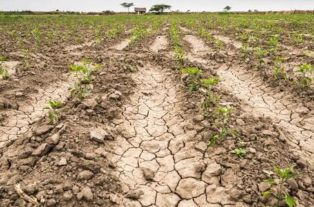 Sequía: Massa anunció medidas para el campo en medio de la crisis climática