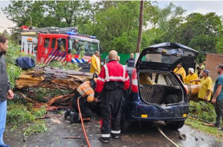 Por la tormenta un árbol cayó sobre un automóvil, el conductor quedó atrapado en miembros inferiores y debió ser derivado