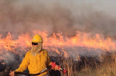 Se quemaron más de 100.000 hectáreas en Corrientes y el 91% son Esteros