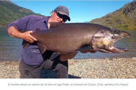 “Tiraba como un ternero”: pescó un salmón de 16 kilos en Lago Puelo
