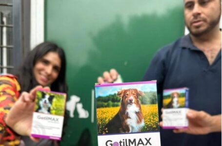 El área de Salud Animal de Funes ha recibido un valioso apoyo de la O.N.G Animalistas de Rosario