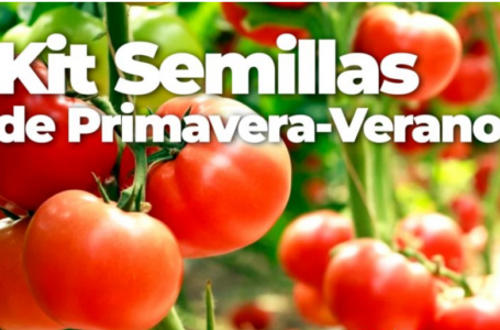 “De la Huerta a la Mesa”: Nueva entrega de semillas y charla de promoción de alimentación sana y sustentable