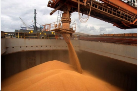 Exportaciones de granos crecieron 40% en el primer bimestre: ¿Qué empresas lideraron el ranking?