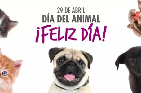 Día del Animal: 29 de abril