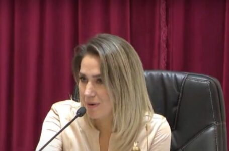 Carolina Losada: “La mayoría de Juntos por el Cambio está para aprobar la Ley Bases”