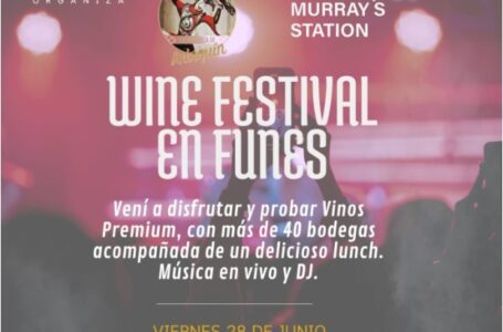 Wine Festival en Funes